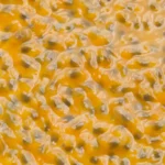 Maracujá natural congelado 1kg – Morangos BH