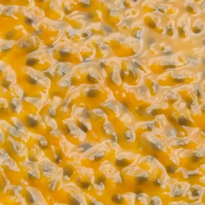 Maracujá natural congelado 1kg – Morangos BH