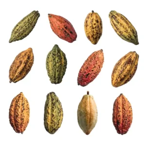 Polpa de cacau natural congelada 1kg – Morangos BH