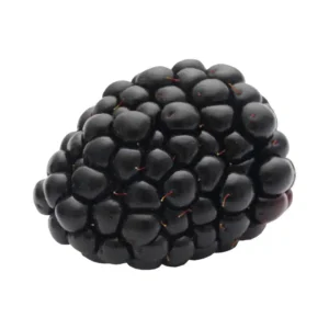 Amora natural congelada 1kg sem açúcar – Morangos BH