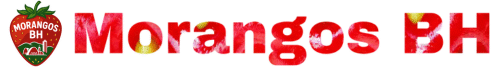 morangosbh.com